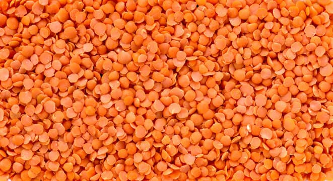 Red Lentils